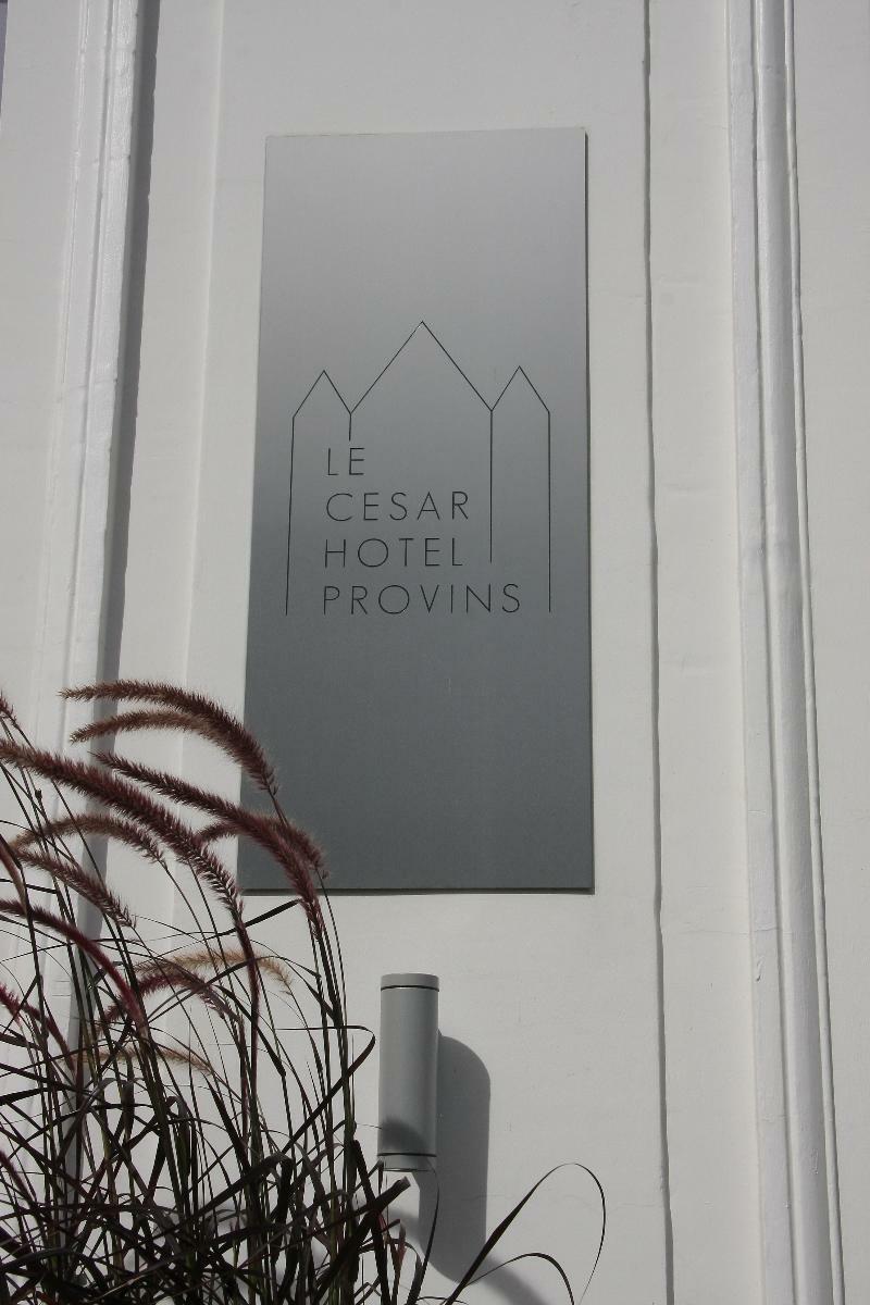 Le César Hôtel Provins Esterno foto